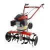 Motozappa AgriEuro Rotalux 52A L60 Con Motore Loncin Da 196 Cc - 1 Marcia Avanti -Cura Del Giardino motozappa agrieuro rotalux 52a l60 con motore loncin da 196 cc 1 marcia avanti agrieuro 16162 2