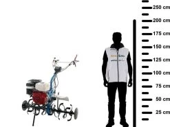 Motozappa AGT 13000 Con Motore Honda GX390 Da 389cc - Cambio Marce 2+1 Retromarcia -Cura Del Giardino motozappa agt 13000 con motore honda gx390 da 389cc cambio marce 2 1 retromarcia motozappa agt 13000 gx390 27717 8 1617351496 IMG 6066d348871f3