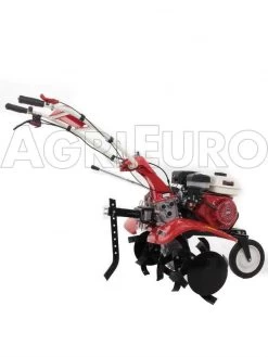 Motozappa GeoTech A Benzina PGT 700 - Fresa Cm 85 - Cambio Marce 2+1 Retromarcia -Cura Del Giardino motozappa geotech a benzina pgt 700 fresa cm 85 cambio marce 2 1 retromarcia motozappa geotech pgt 700 10834 0 1499668806 IMG 0497