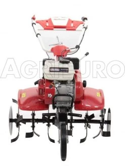 Motozappa GeoTech A Benzina PGT 700 - Fresa Cm 85 - Cambio Marce 2+1 Retromarcia -Cura Del Giardino motozappa geotech a benzina pgt 700 fresa cm 85 cambio marce 2 1 retromarcia motozappa geotech pgt 700 10834 0 1499668811 IMG 0499