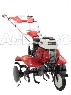 Motozappa GeoTech A Benzina PGT 700 - Fresa Cm 85 - Cambio Marce 2+1 Retromarcia -Cura Del Giardino motozappa geotech a benzina pgt 700 fresa cm 85 cambio marce 2 1 retromarcia motozappa geotech pgt 700 10834 0 1499668813 IMG 0498