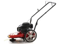 MTD WST 5522 - Decespugliatore A Ruote A Benzina 4 Tempi A Spinta -Cura Del Giardino mtd wst 5522 decespugliatore a ruote a benzina 4 tempi a spinta decespugliatore a ruote a benzina mtd wst 5522 16258 0 1555320270 IMG 0301