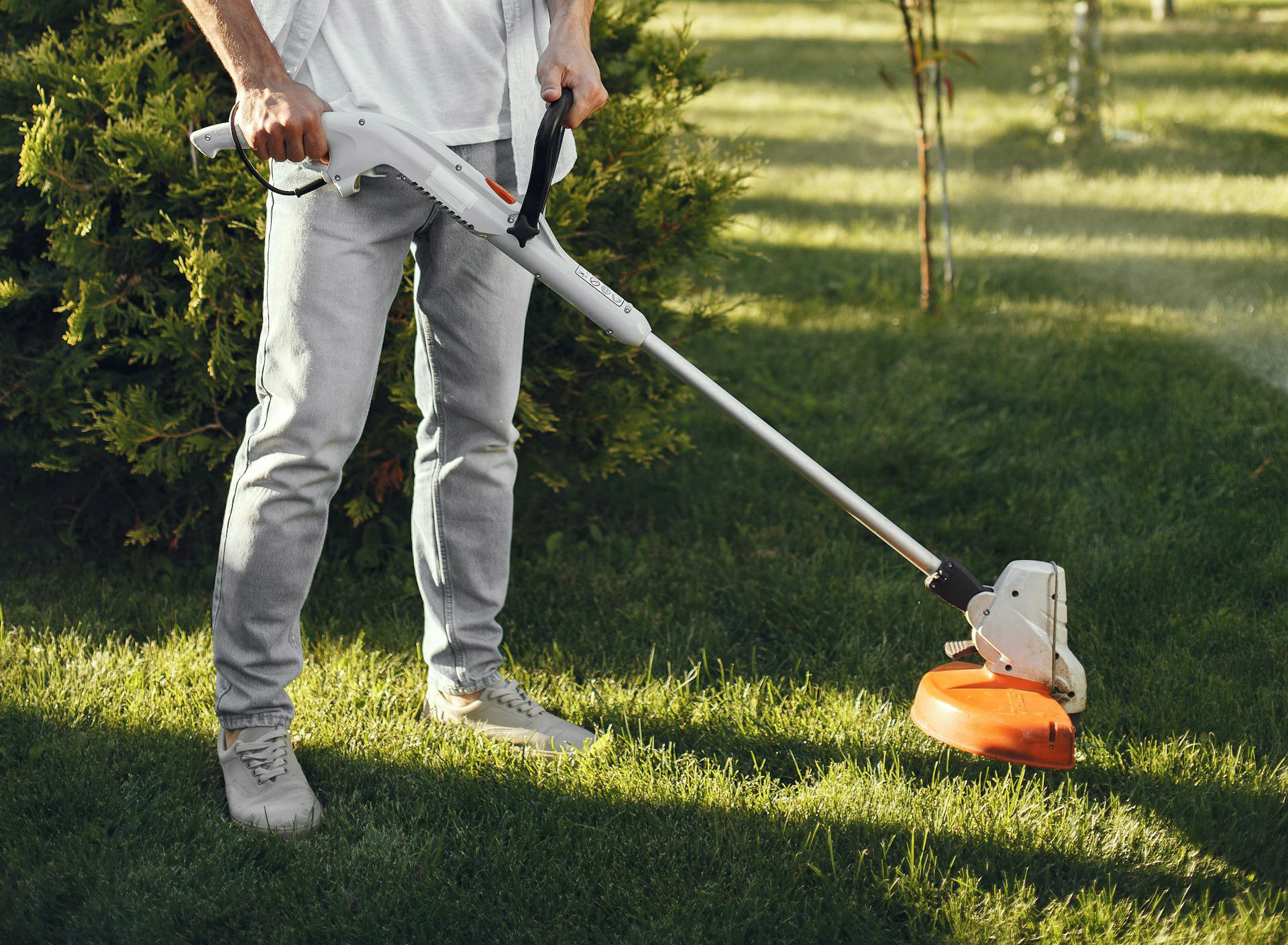 Cura Del Giardino 3 Cura Del Giardino -Cura Del Giardino pexels gustavo fring 5163442