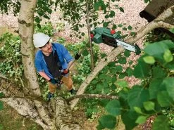 Potatore A Batteria Su Asta Telescopica BOSCH UniversalChainPole 18V -Cura Del Giardino potatore a batteria su asta telescopica bosch universalchainpole 18v potatore a batteria su asta telescopica bosch universalchainpole 17659 0 1565946840 81nZReYjhBL. SL1200