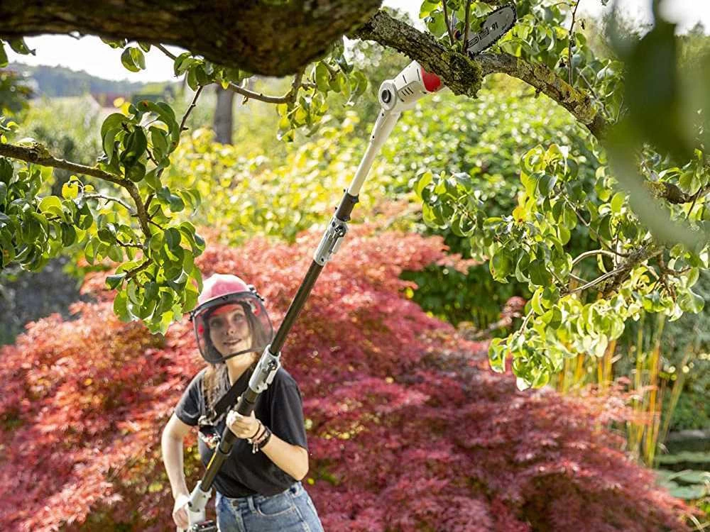 Potatore A Batteria Su Asta Telescopica IKRA ICPS 2020 6 Potatore A Batteria Su Asta Telescopica IKRA ICPS 2020 - immagine 4