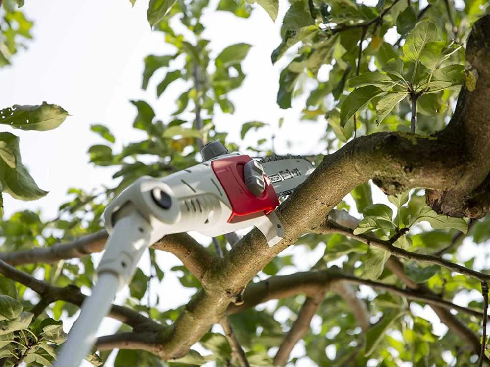 Potatore A Batteria Su Asta Telescopica IKRA ICPS 2020 4 Potatore A Batteria Su Asta Telescopica IKRA ICPS 2020 - immagine 2