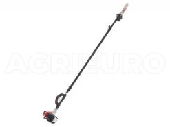 Potatore A Scoppio Ad Asta Telescopica SHINDAIWA SDK PT262S - Motore Da 25.4 Cc -Cura Del Giardino potatore a scoppio ad asta telescopica shindaiwa sdk pt262s motore da 25 4 cc potatore a scoppio ad asta telescopica shindaiwa sdk pt262s 35012 6 1654519732 IMG 629df7b4151ba