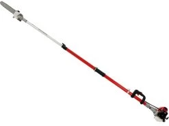 Potatore A Scoppio Telescopico BlueBird PTT261 -Cura Del Giardino potatore a scoppio telescopico bluebird ptt261 potatore a scoppio telescopico bluebird ptt261 38242 6 1667402316 IMG 63628a4c14381