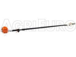 Potatore AMA PP 26.430 Con Motore A Scoppio Su Asta Di Prolunga Telescopica -Cura Del Giardino potatore ama pp 26 430 con motore a scoppio su asta di prolunga telescopica potatore a scoppio su asta di prolunga telescopica ama pp 26 430 8541 0 1460710189 P1270189