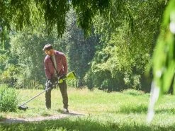 Cura Del Giardino 8 Cura Del Giardino -Cura Del Giardino ryobi ry36eltx33a 0 decespugliatore a batteria 36v senza batterie e caricabatterie decespugliatore a batteria ryobi ry36eltx33a 0 28694 1 1619612877 IMG 608954cd6f539