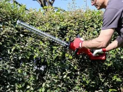 Tagliasiepi A Batteria Valex M-TS36 - Lama Da 60cm - 2 Batterie Da 18V 2Ah -Cura Del Giardino tagliasiepi a batteria valex m ts36 lama da 60cm 2 batterie da 18v 2ah tagliasiepi valex m ts36 35551 1 1656509518 IMG 62bc544e2b2c6