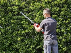 Tagliasiepi A Batteria Valex M-TS36 - Lama Da 60cm - 2 Batterie Da 18V 2Ah -Cura Del Giardino tagliasiepi a batteria valex m ts36 lama da 60cm 2 batterie da 18v 2ah tagliasiepi valex m ts36 35551 1 1656509518 IMG 62bc544e2f40f