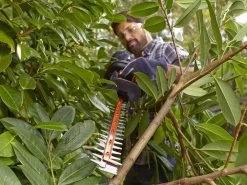 Tagliasiepi Elettrico Black & Decker BEHTS451-QS - Tosasiepi Da 550 W Con Barra Da 60 Cm -Cura Del Giardino tagliasiepi elettrico black decker behts451 qs tosasiepi da 550 w con barra da 60 cm tagliasiepi elettrico black decker behts451 qs 17310 0 1565012831 BEHTS451 A3