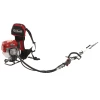 Tagliasiepi Su Asta Di Prolunga A Scoppio Con Zaino 2 Tempi GeoTech GT-2 58 BP - 58 Cc -Cura Del Giardino tagliasiepi su asta di prolunga a scoppio con zaino 2 tempi geotech gt 2 58 bp 58 cc agrieuro 30681 1