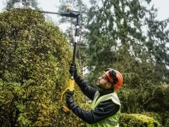 Tagliasiepi Su Asta Di Prolunga Elettrico Orientabile DEWALT DCMPH566P1-QW - Batteria 18V 5Ah -Cura Del Giardino tagliasiepi su asta di prolunga elettrico orientabile dewalt dcmph566p1 qw batteria 18v 5ah il tagliasiepi a batteria dewalt dcmph566p1 qw 28950 6 1620657380 IMG 609944e420df0