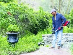 TORO TO-51835T - Decespugliatore A Batteria - 60V - 2.5Ah -Cura Del Giardino toro to 51835t decespugliatore a batteria 60v 2 5ah decespugliatore a batteria toro to 51835t 31906 1 1637745161 IMG 619e02091c295