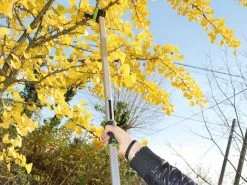 Verdemax - Forbicione Da Potatura Manuale - Asta Fissa 150cm - Ø 25 Mm -Cura Del Giardino verdemax forbicione da potatura manuale asta fissa 150cm 25 mm forbicione manuale verdemax su asta fissa 29766 1 1623248006 IMG 60c0cc86792b3